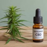 Le CBD peut-il améliorer la concentration et la mémoire chez les étudiants ?