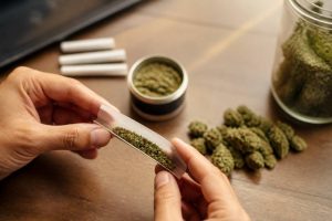 Joint weed : effets, usages et données scientifiques sur le CBD