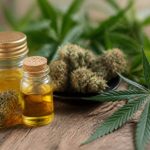 Cbd le plus puissant : effets, études scientifiques et interactions à connaître