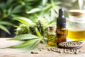 Hct et cbd : effets, bienfaits, risques et interactions selon les études scientifiques