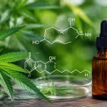Anandamide et cbd : mécanismes, effets et données scientifiques