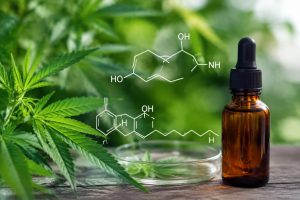 Anandamide et cbd : mécanismes, effets et données scientifiques